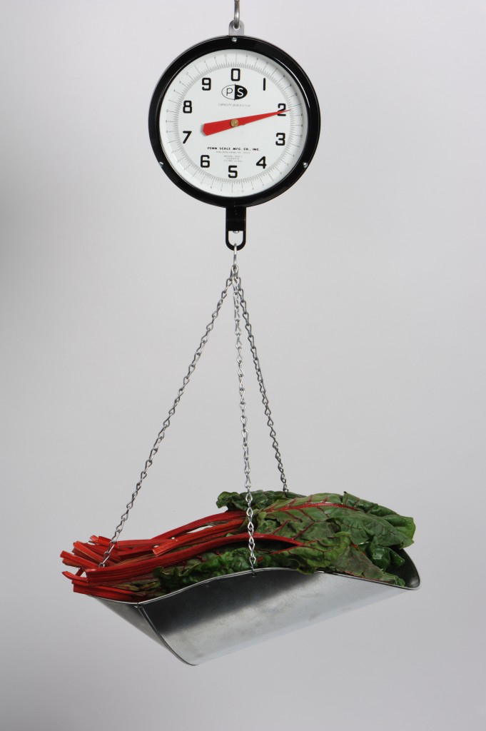 G47-Hanging-Scale G47-Hanging-Scale